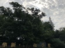 华新花予墅4室2厅南