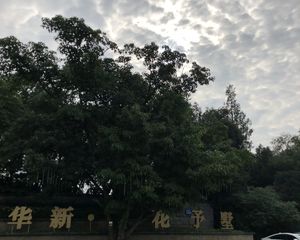华新花予墅4室2厅南