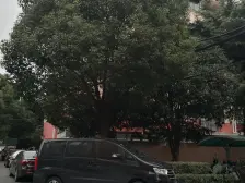 产权清晰 现场实勘,精装,新上房源