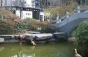 华锦城实景图