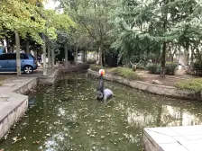 松陵·丽都花园·3室·2厅