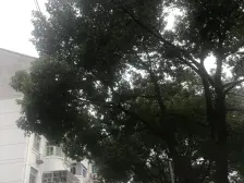 小区离地铁上海东站近整体成体系有完善的物业和安保