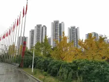 西区 盛景天下三房58万