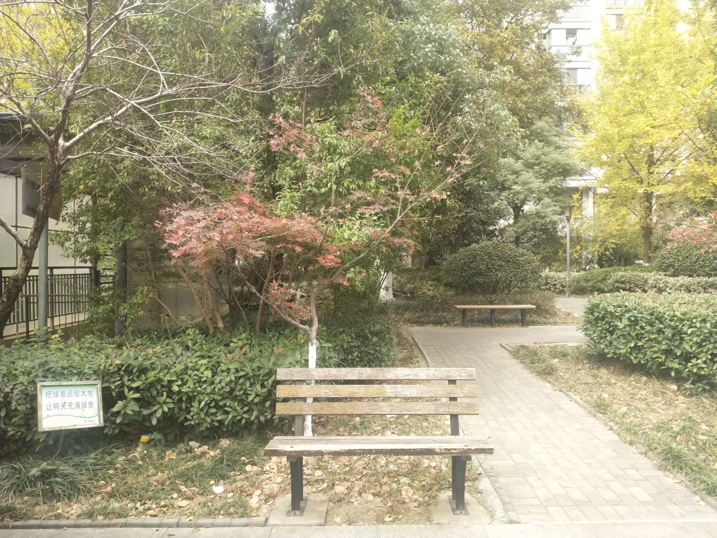 新城尚东区花园