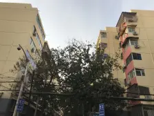 郑州国棉四厂 2室1厅 西南