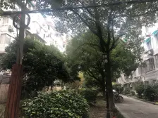 塘桥南码头,户型方正,光线好,有钥匙看房方便