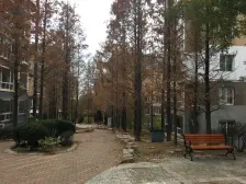 南北通透 中间楼层 采光充足 随时可看房