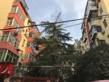 碧沙岗标准两居室,产权清晰随时看,钥匙在店诚心卖