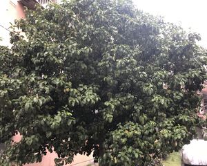 牡丹小区中间楼层,低总价2房,一号八号泽民站