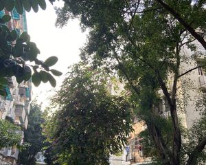 云东小区东南普装2室