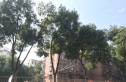 幕府山庄实景图