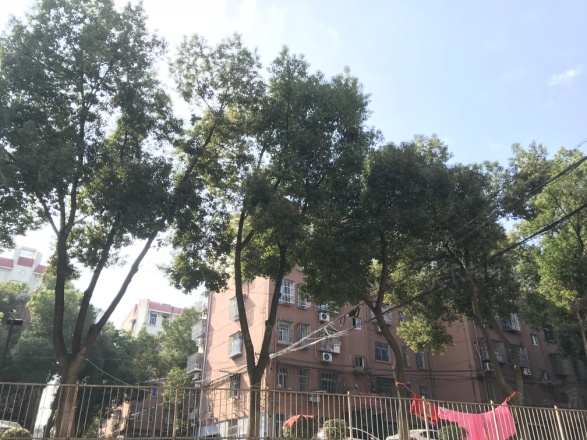 幕府山庄实景图