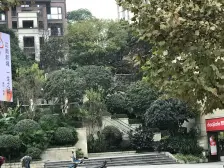 茶园新区 金科中央御院二期二房78万