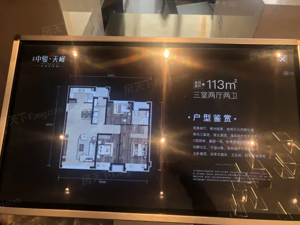 中骏天峰实景图