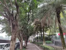 隆鑫国际 2室2厅 东南