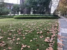 融创伊顿濠庭 2室1厅 东南 东南 西南 西南