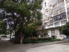 此房满五年 地铁1公里,顶楼复式5房3卫,看房随时方便