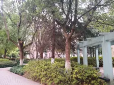 东城花苑二村一区 2室2厅 南 北