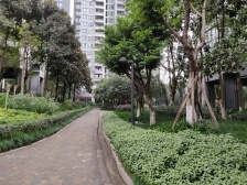 石坪桥 隆鑫国际二房90万