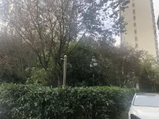 商品房!双南两房,不靠路,一梯两户,有钥匙,急售。