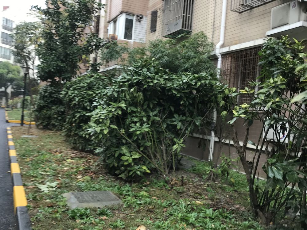 小区相关图