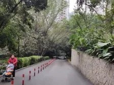 骏逸新视界 1室1厅 南