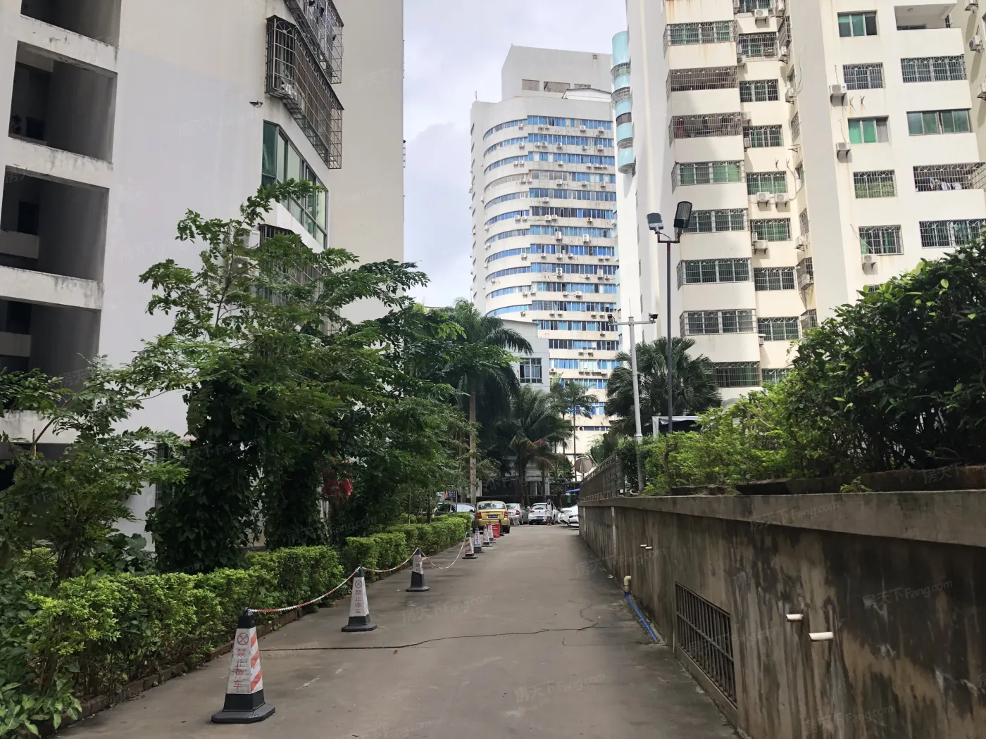 富豪大厦