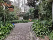 双轻轨 正规一室一厅 业主很安心出售