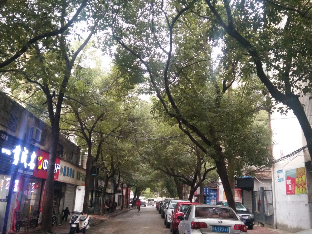 小区相关图