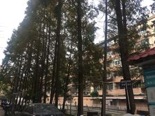 光新·岚皋西路95弄·1室·1厅