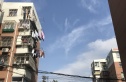 幕府山庄实景图