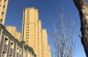 德辉首府实景图