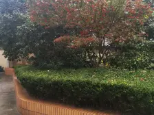 徐家汇地段地铁口俯瞰徐汇体育公园天然氧吧边套三房