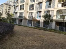 此房户型方正,两个大阳台 ,总高11层