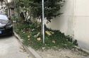 甘陵小区实景图