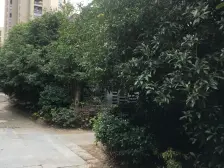 秋霞坊6室通透南北朝向1860.00万元/套出售