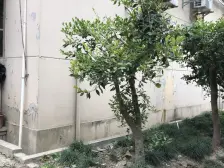 东边套,高楼层,采光通风好,配套齐全