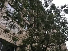 秋霞坊6室通透南北朝向1860.00万元/套出售