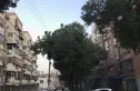 幕府山庄实景图