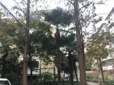 你有苦说不出,那才是真的苦 边套全明