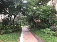 次新洋房小区+露台50平+业主诚心出售+楼上楼下3层