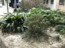 近新村路500米 不靠马路 南北两房 视野好 配套齐全