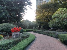 金碧花园三期 高层3房2厅 南向 双阳台 通风采光好