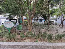 玉兰路46弄 2室2厅 南 北