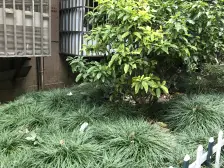 南北通~东边套全明户型~视野开阔~近7号X新村路~业主诚意售