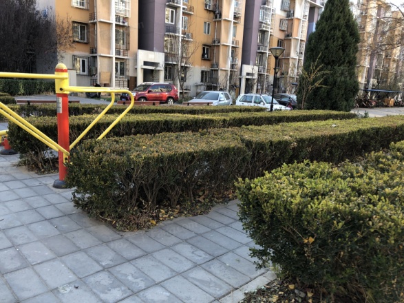 龙博苑一区实景图