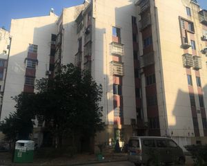 京东小区E区 南北通透,采光好 装修好,环镜优美 视野好,诚心出售
