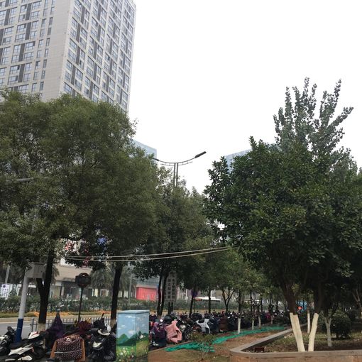  ���̲���㳡1��1��1���ϳ���1550.00Ԫ/�³��� 