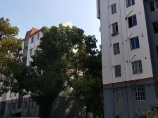 飞机三房带储藏室,肉眼可见的便宜,业主诚售看中可谈