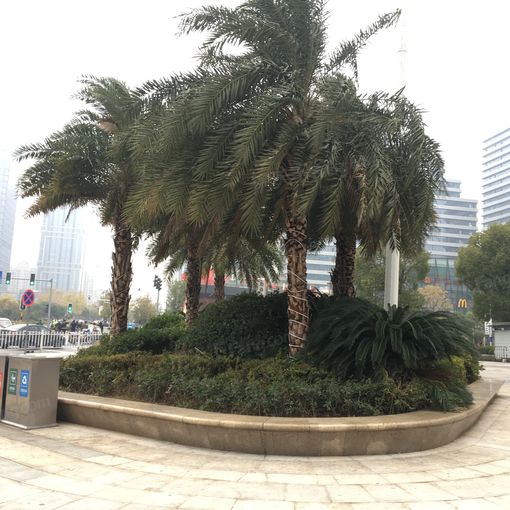  ���̲���㳡3��1���ϳ���12666.00Ԫ/�³��� 